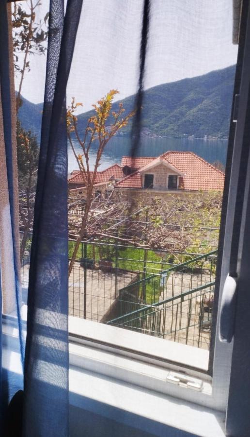 Apartments Aleksandra Risan Dış mekan fotoğraf